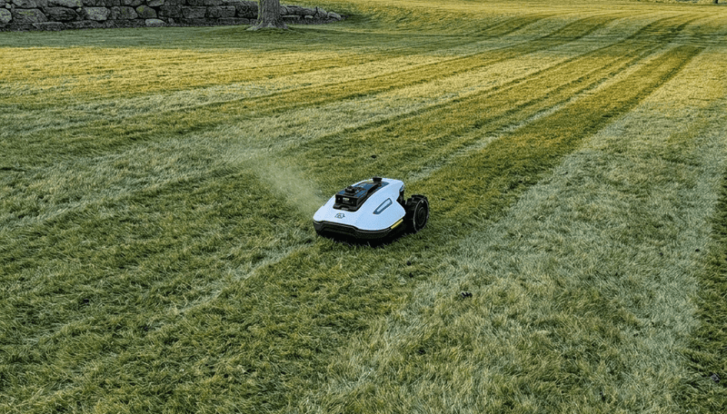 Winter Lawn Care Australia: Guide for Buffalo, Kikuyu & Couch Grass (2026 Edition)